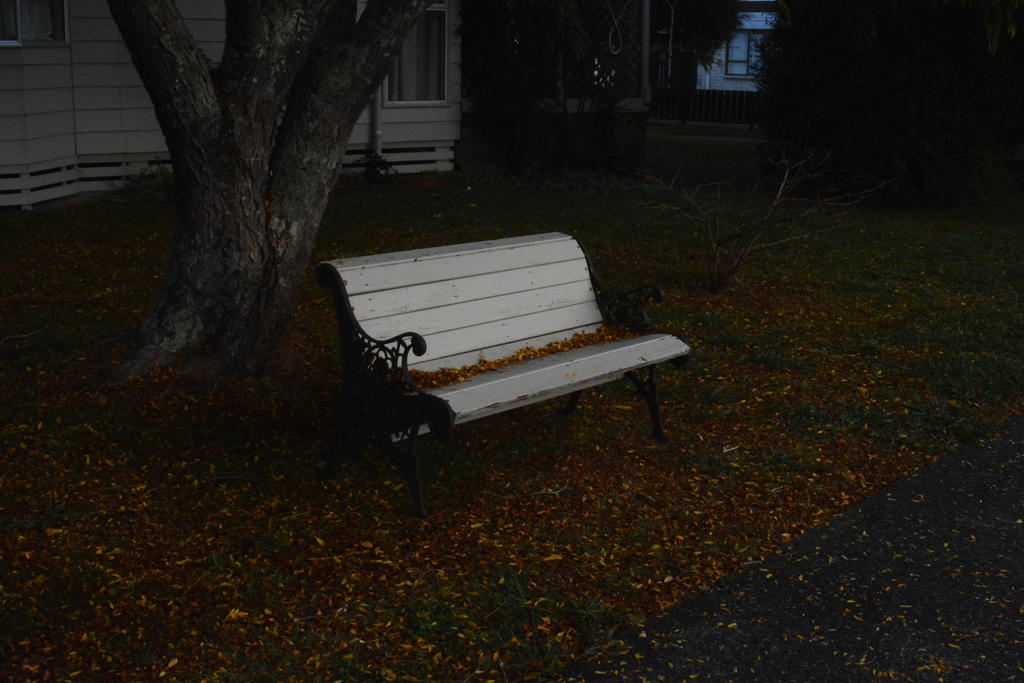 DSC_2280.jpg