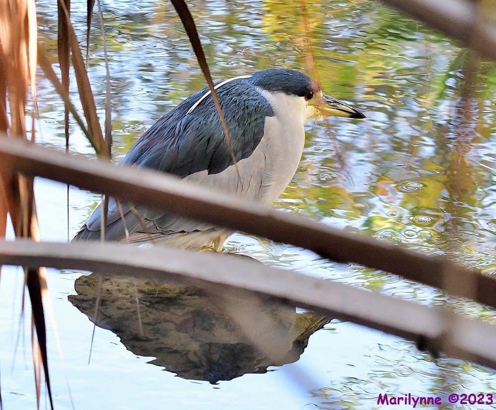 DSC_2280_001.JPG