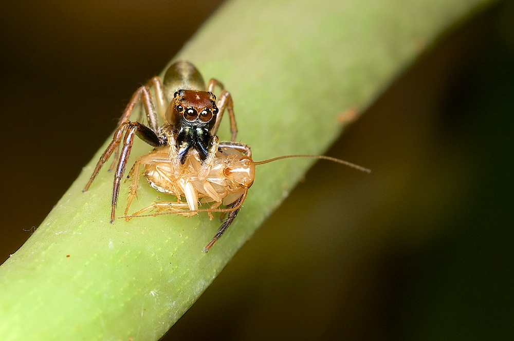 DSC_2282.jpg