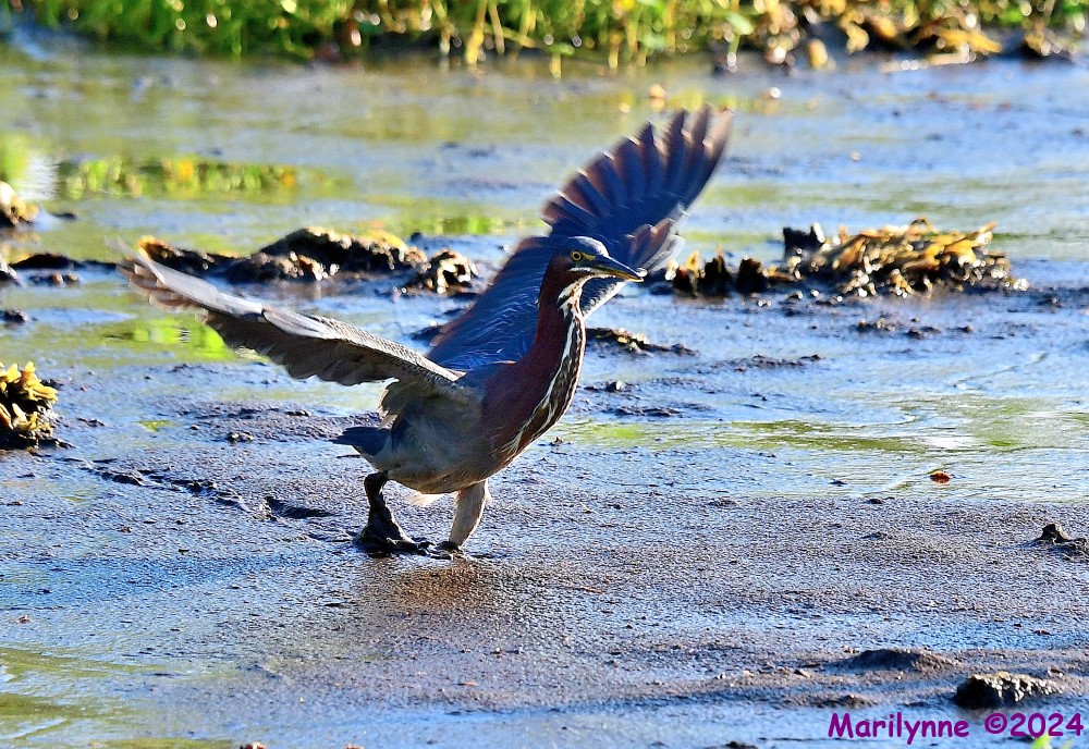 DSC_2284_001.JPG