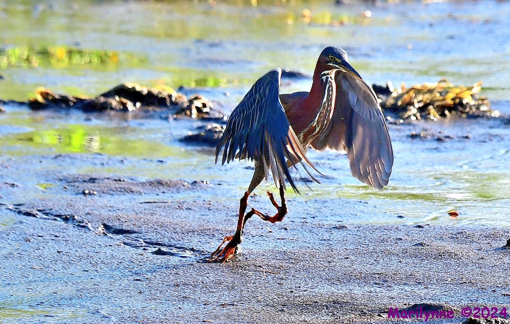DSC_2286_001.JPG