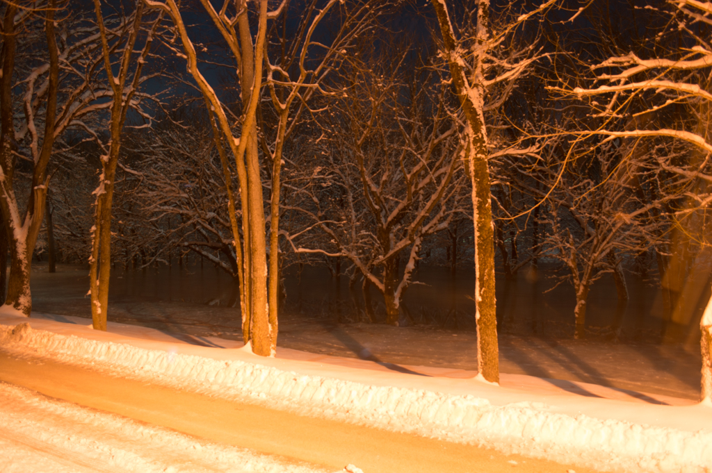 DSC_2286_150306_1024_001-2.jpg