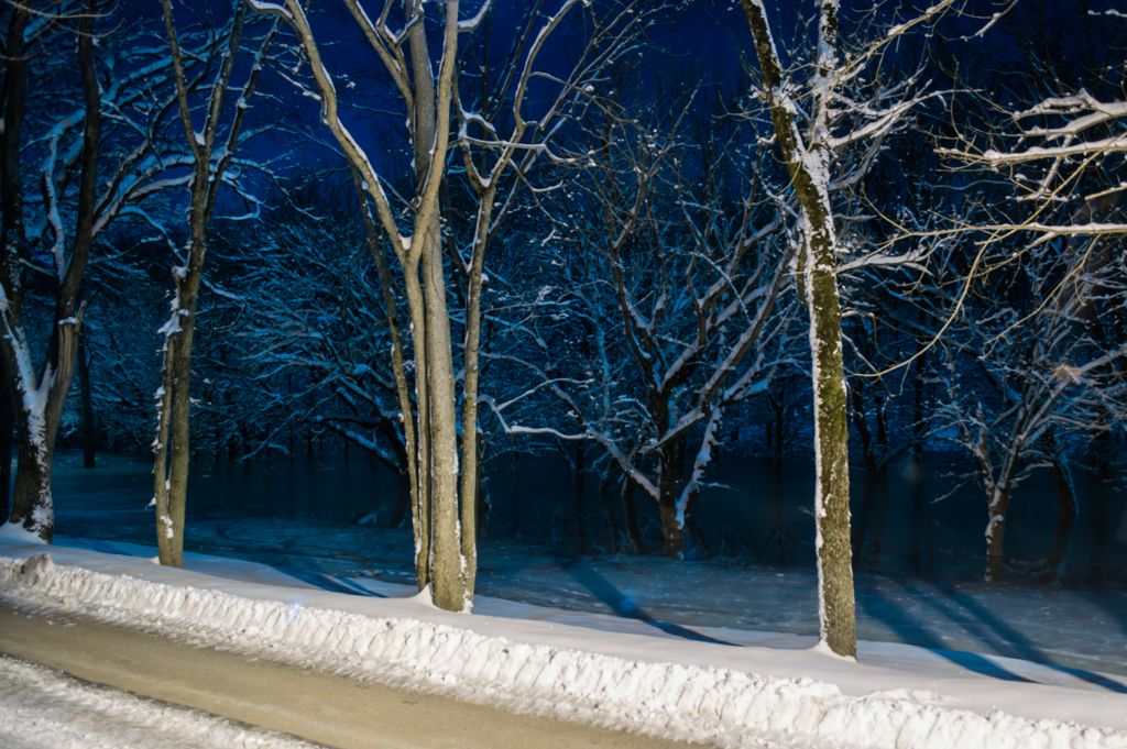 DSC_2286_150306_1024_001.jpg