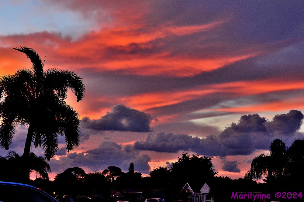 DSC_2287_stitch3_001.JPG