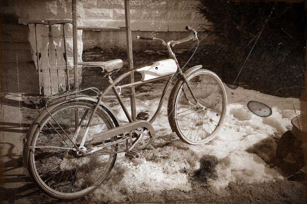 DSC_2288.jpg