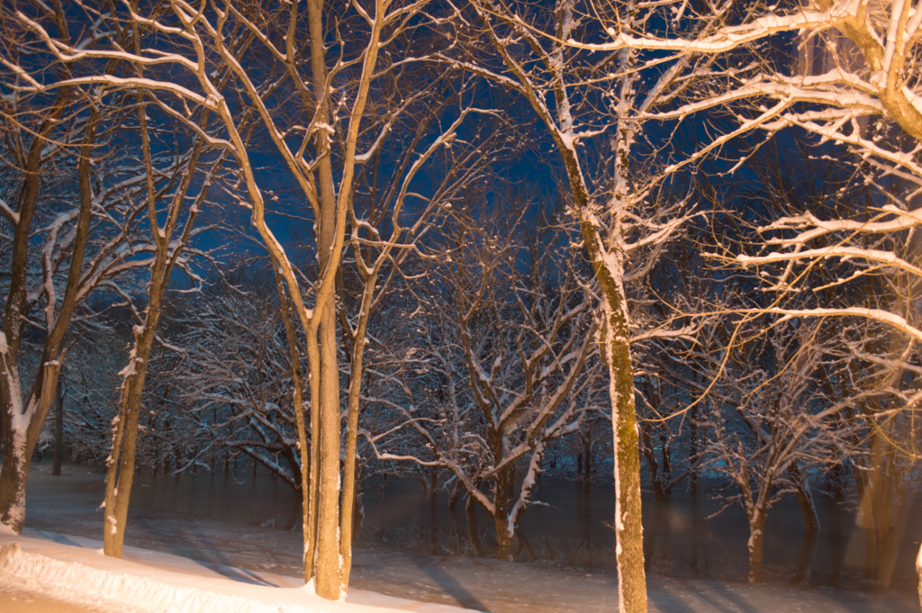 DSC_2289_150306_1024_001-2.jpg
