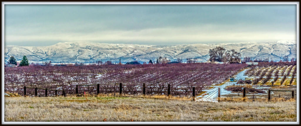 DSC_2290-Pano-Edit.jpg