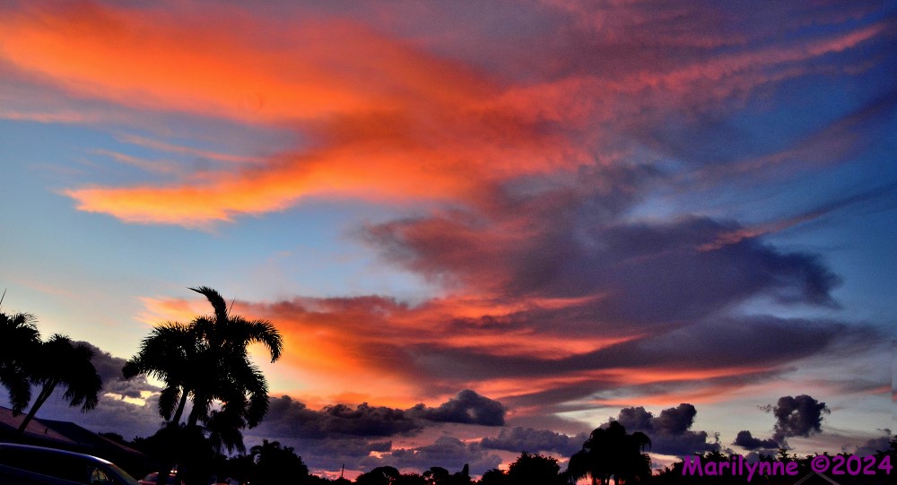 DSC_2290_stitch8_001.JPG