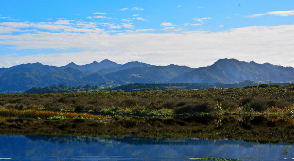DSC_2292.jpg