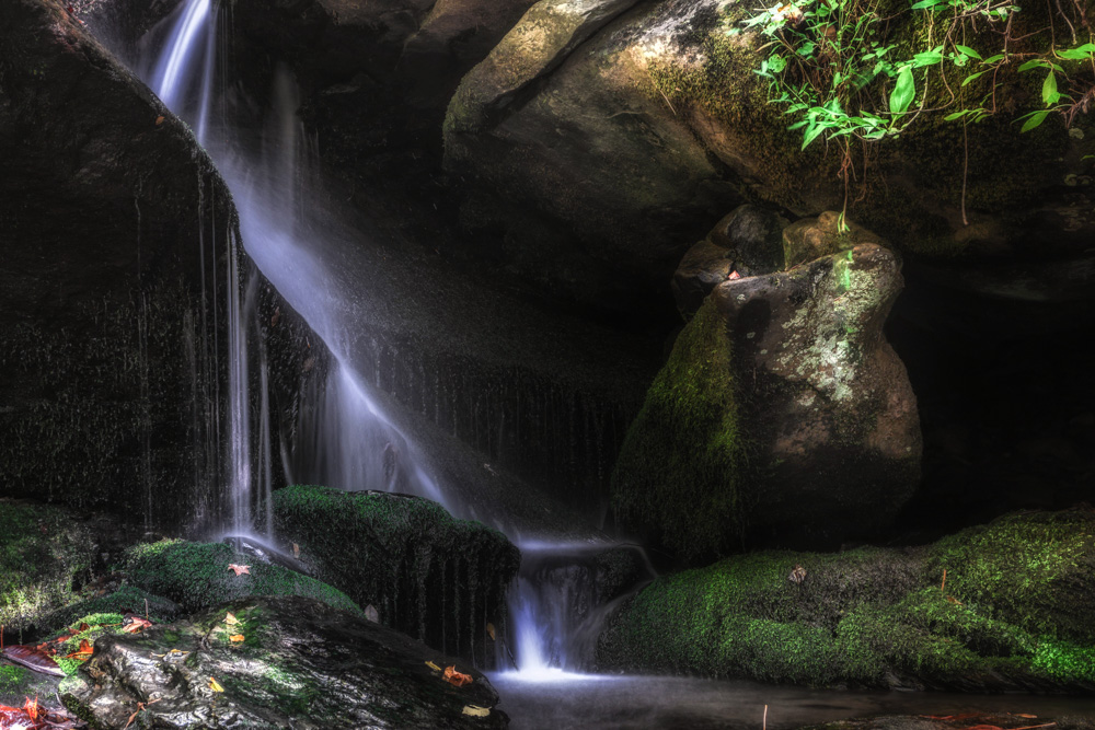 DSC_2297-Edit.jpg