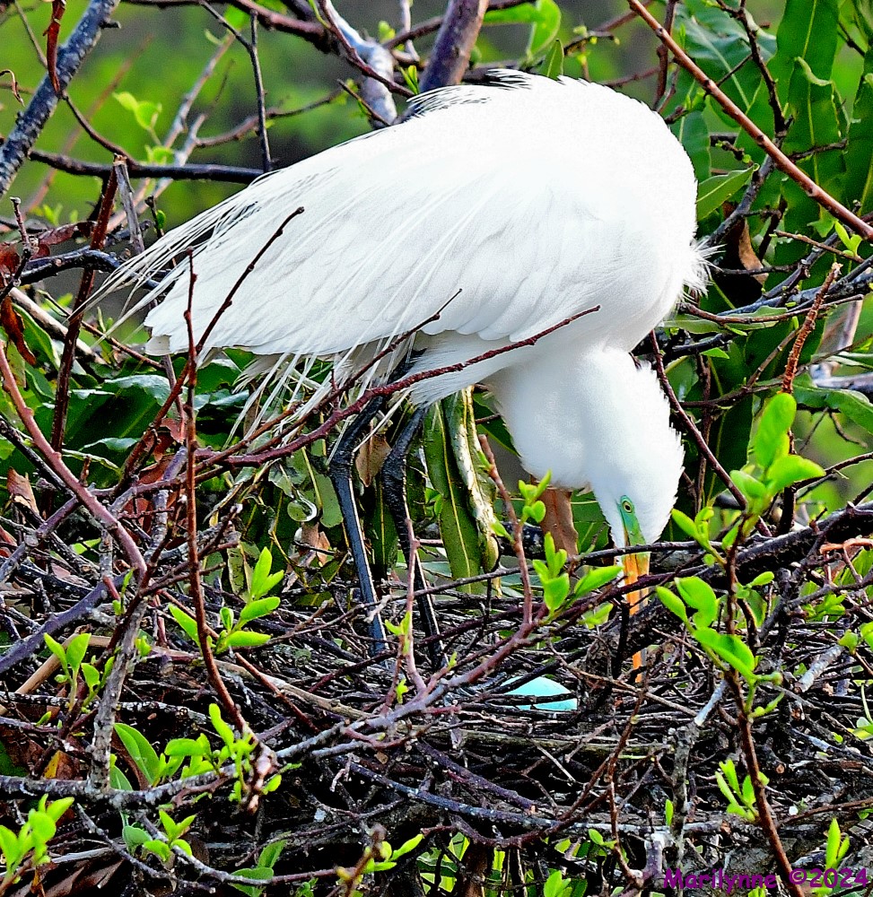 DSC_2297_001.JPG