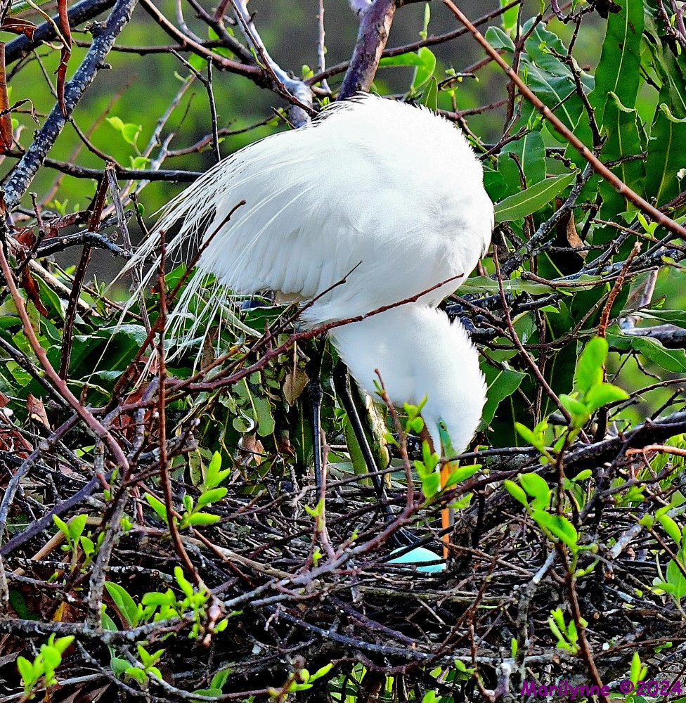 DSC_2299_001.JPG