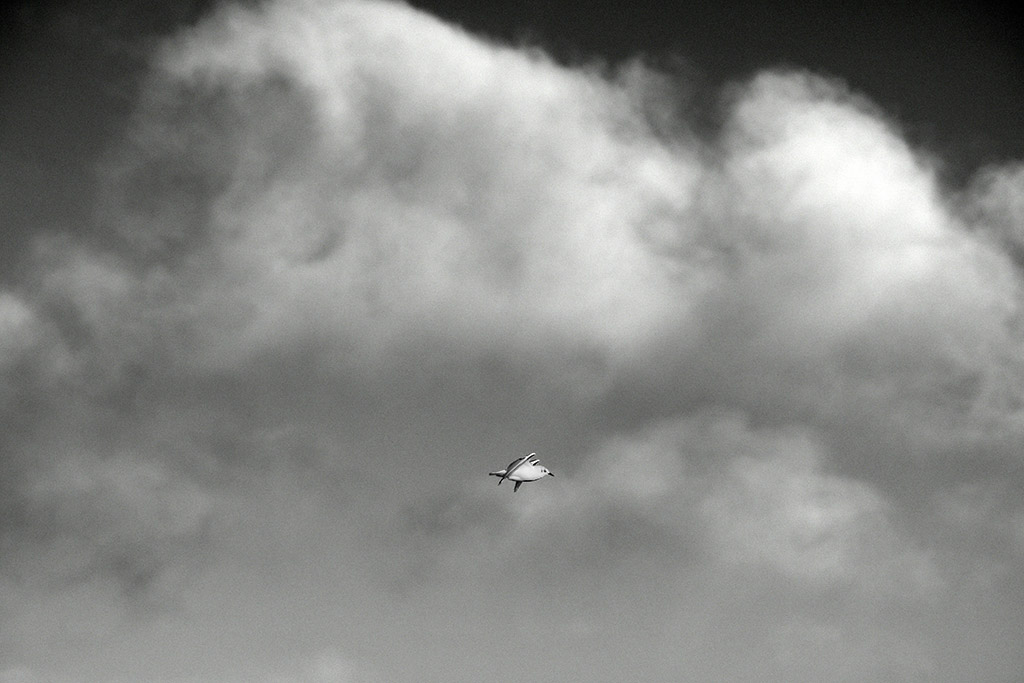 DSC_2302.jpg