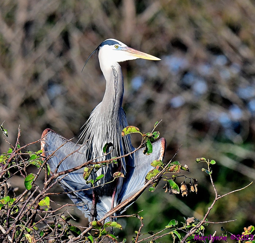 DSC_2302_001.JPG