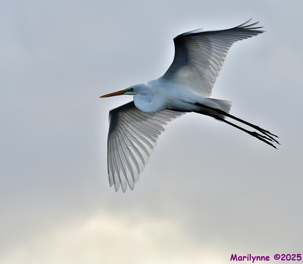 DSC_2303_stitch5_001.JPG