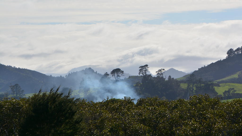 DSC_2304.jpg