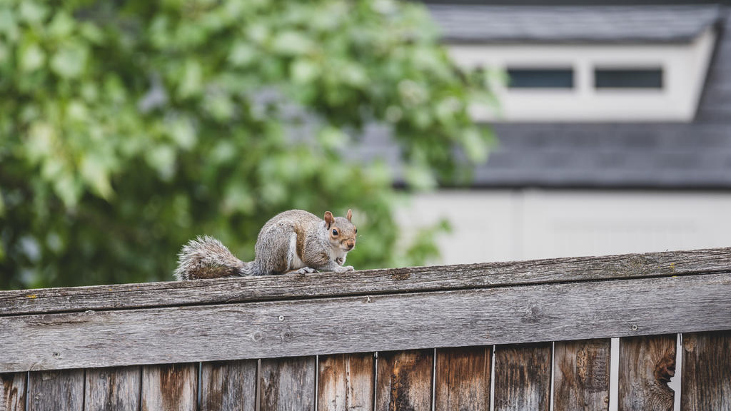 DSC_2306.jpg