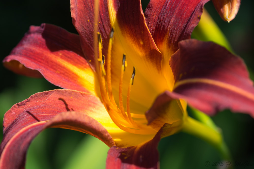 DSC_2306.jpg