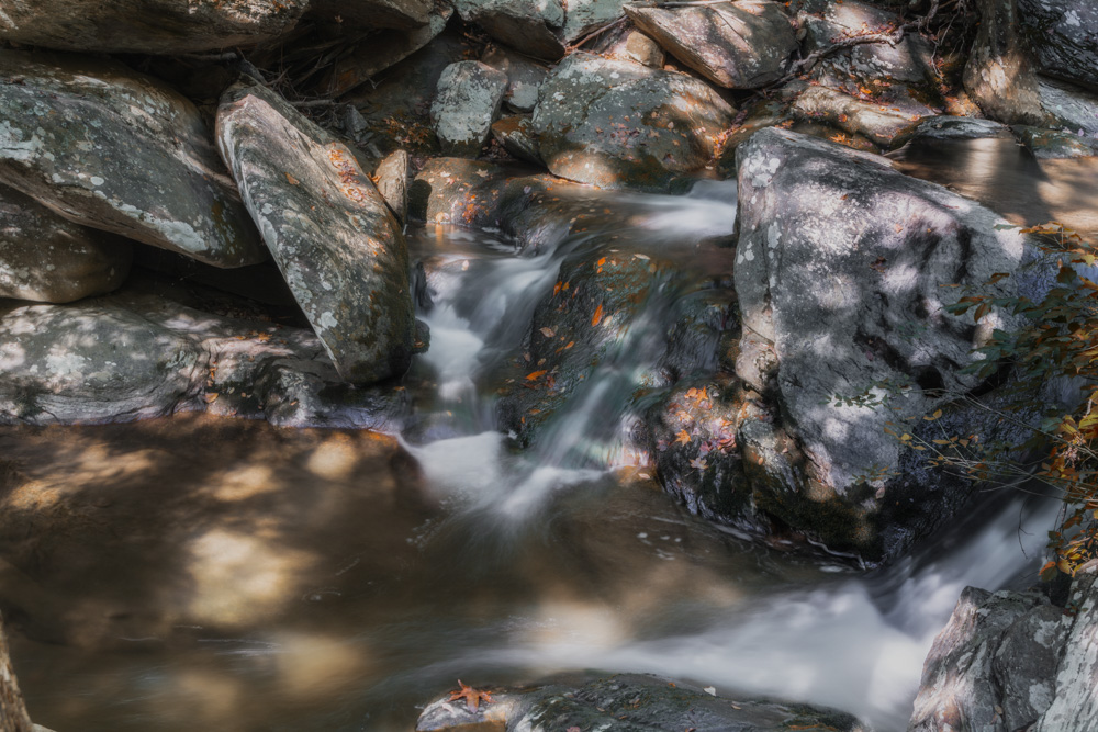 DSC_2307-Edit.jpg