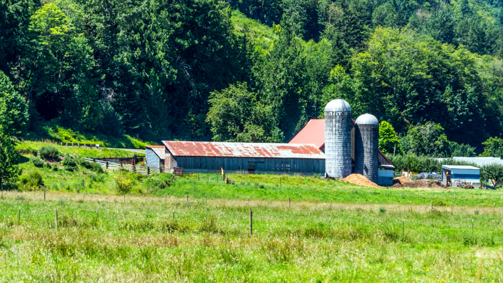 DSC_2307.jpg