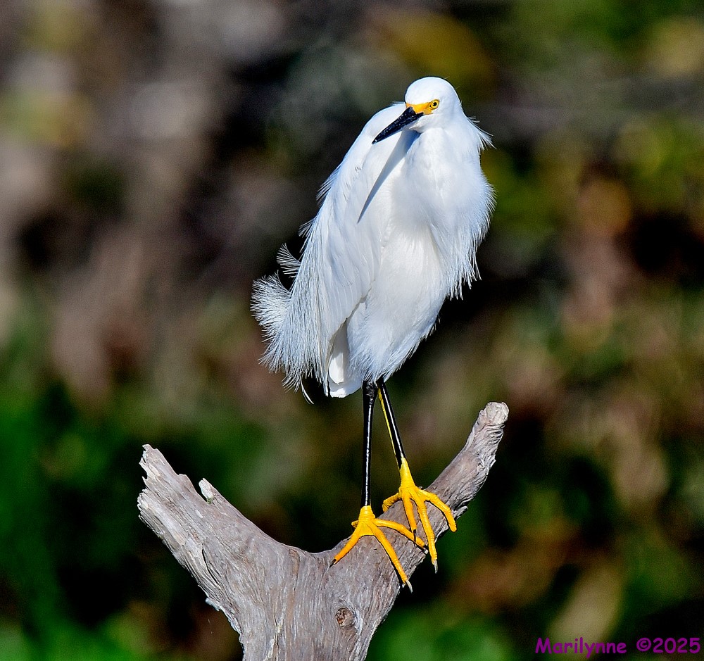 DSC_2307_001.JPG