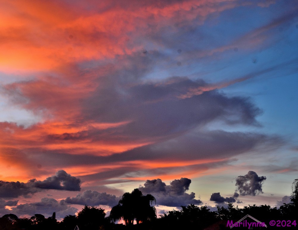 DSC_2307_stitch3_001.JPG