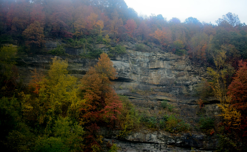 DSC_2310.JPG