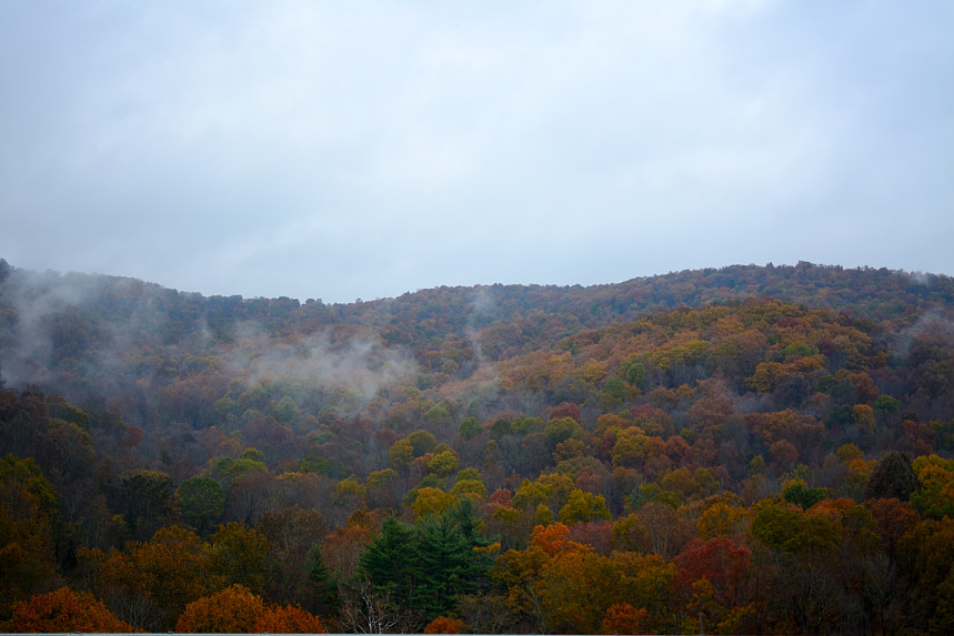 DSC_2317-1.JPG