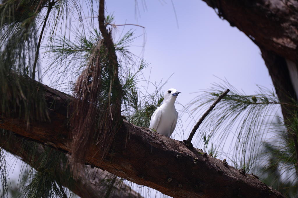 DSC_2317.jpg