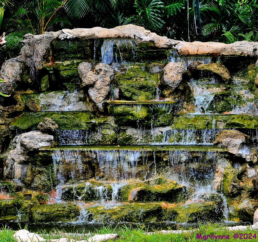 DSC_2317_001.JPG