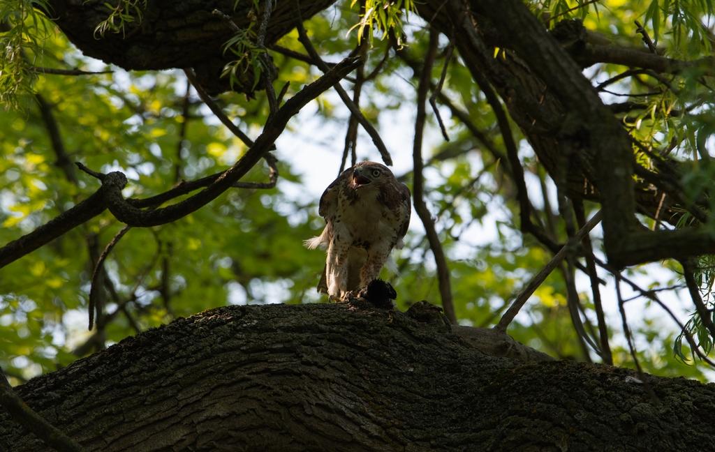 DSC_2318.jpg