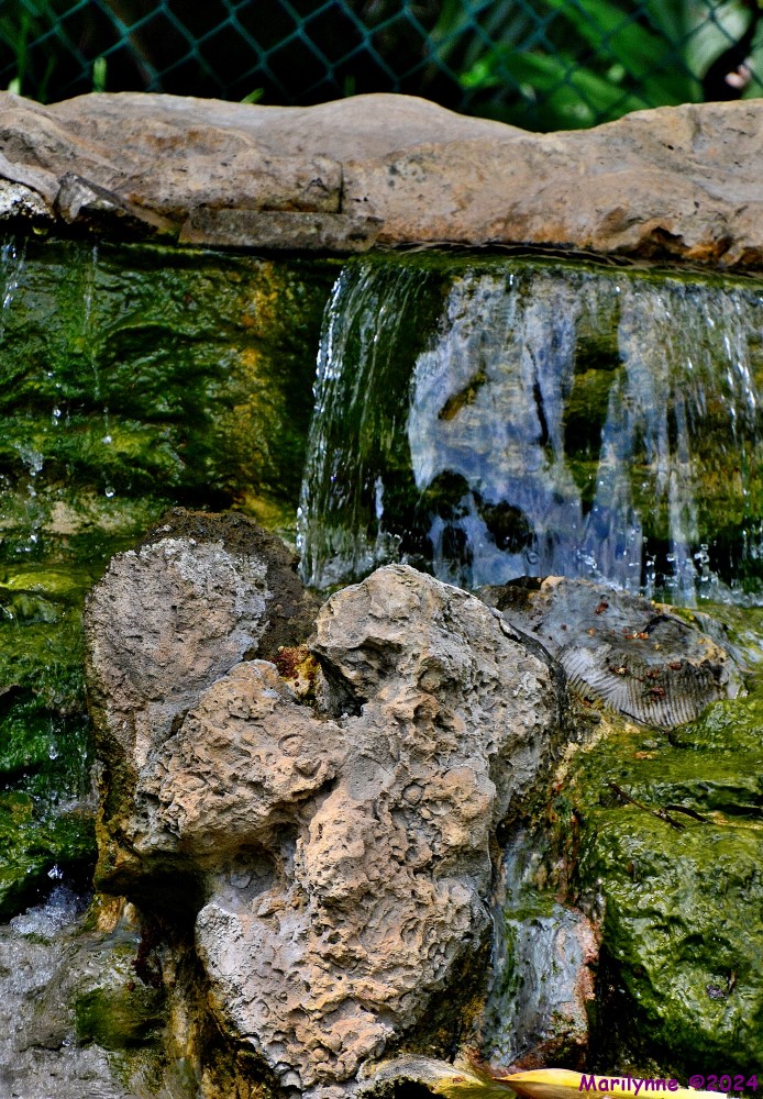 DSC_2321_stitch3_001.JPG