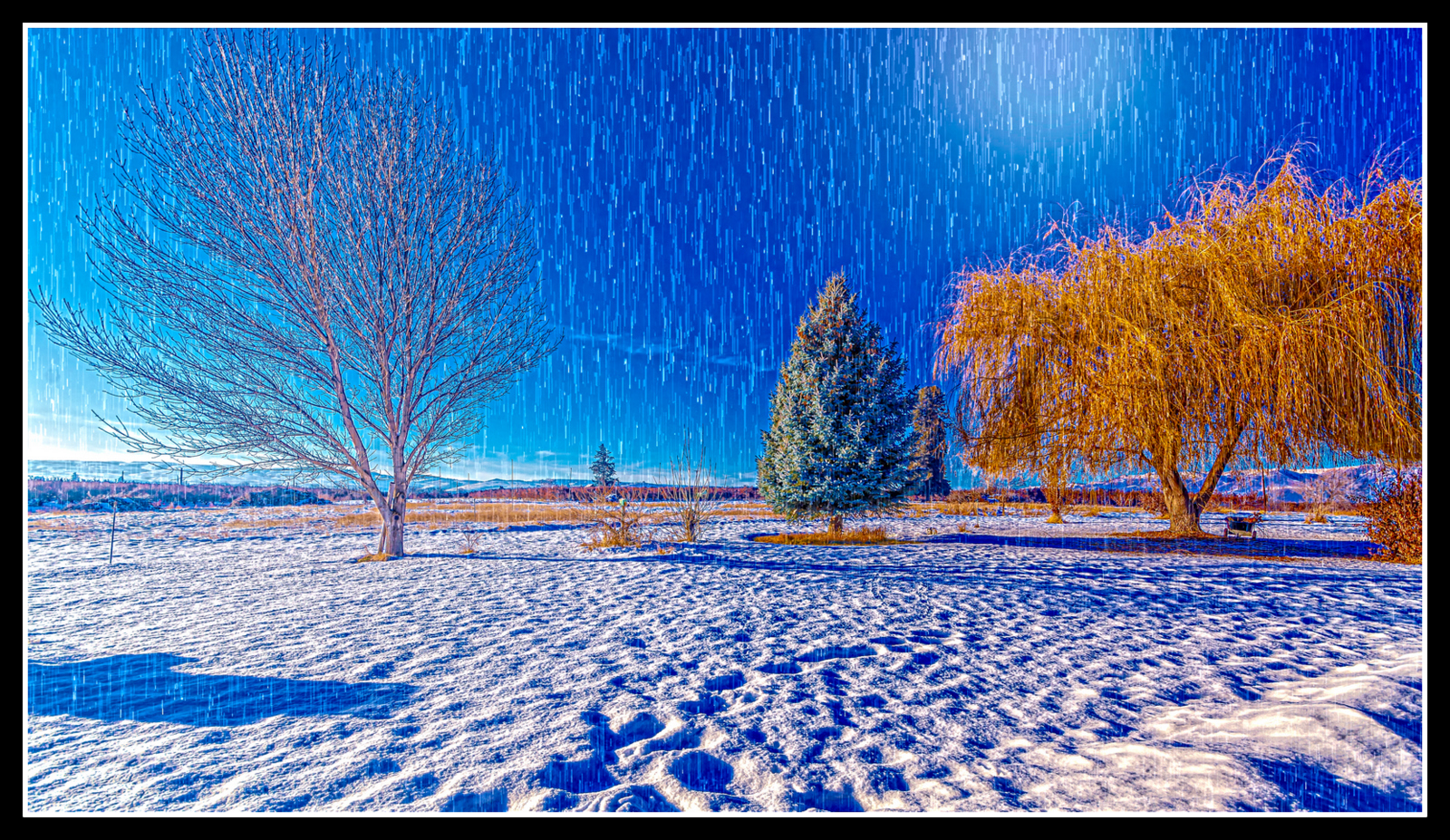 DSC_2322-Edit.JPG