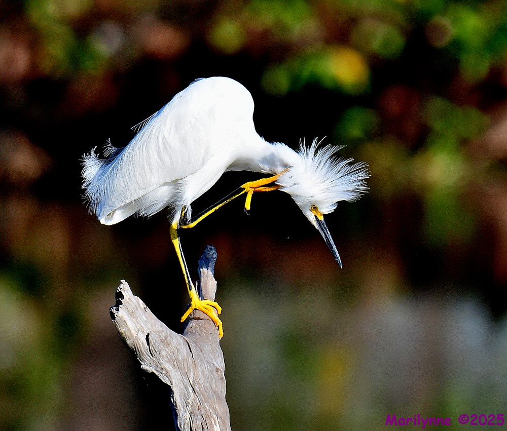 DSC_2325_001.JPG