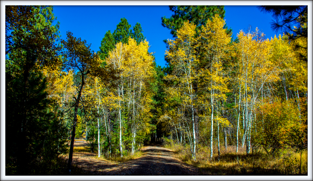 DSC_2329-001.jpg