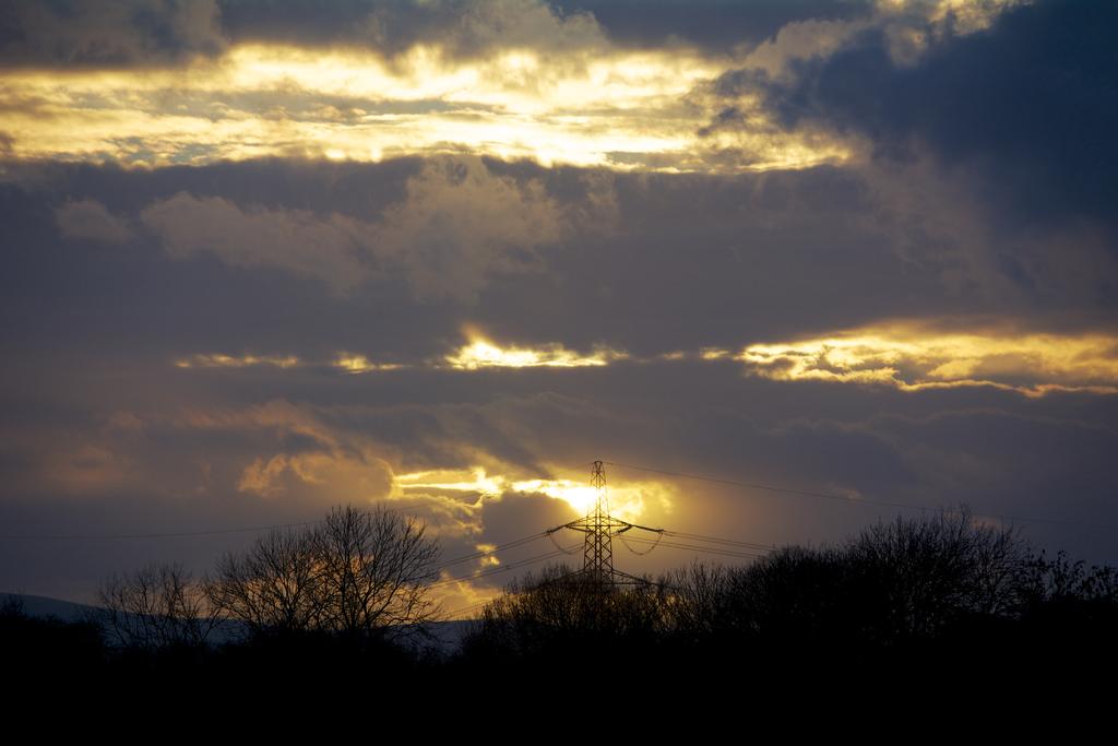 DSC_2339.jpg