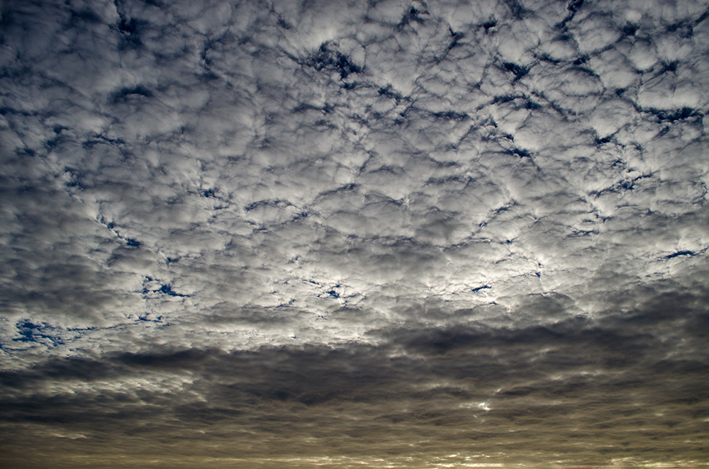 DSC_2344.jpg