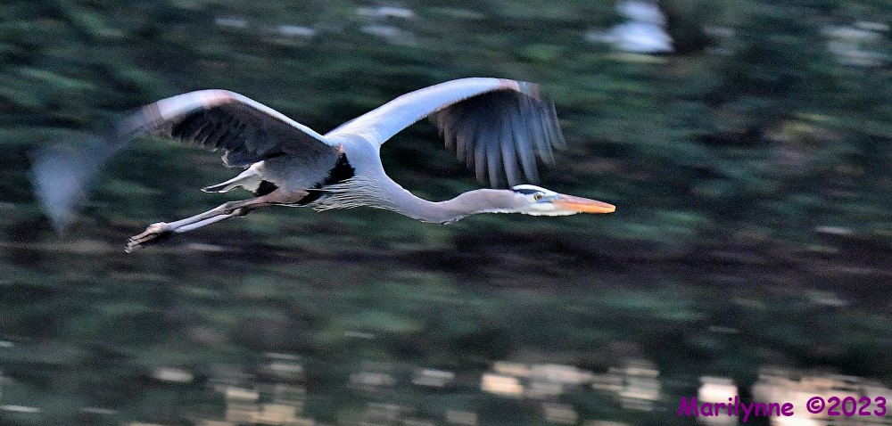 DSC_2345_001.JPG