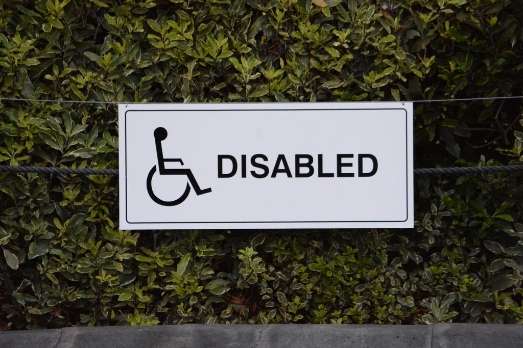 DSC_2346.jpg