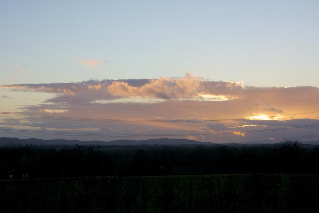 DSC_2348.jpg