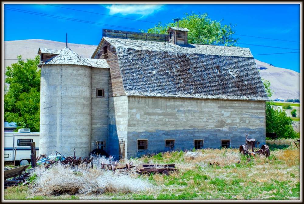 DSC_2351.jpg