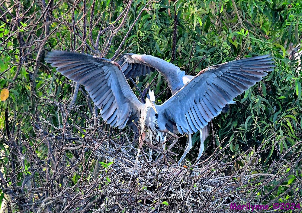 DSC_2354_001.JPG