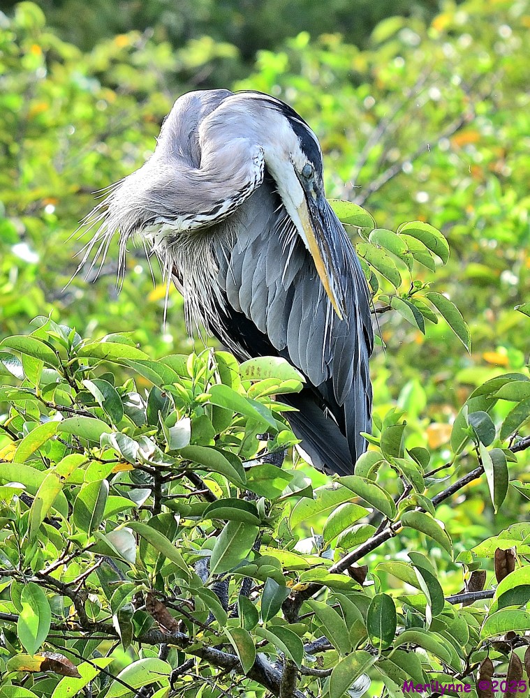 DSC_2358_001.JPG