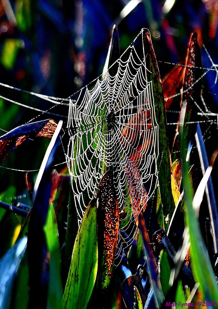 DSC_2359_001.JPG