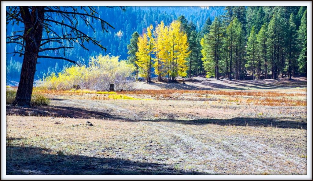 DSC_2362.jpg