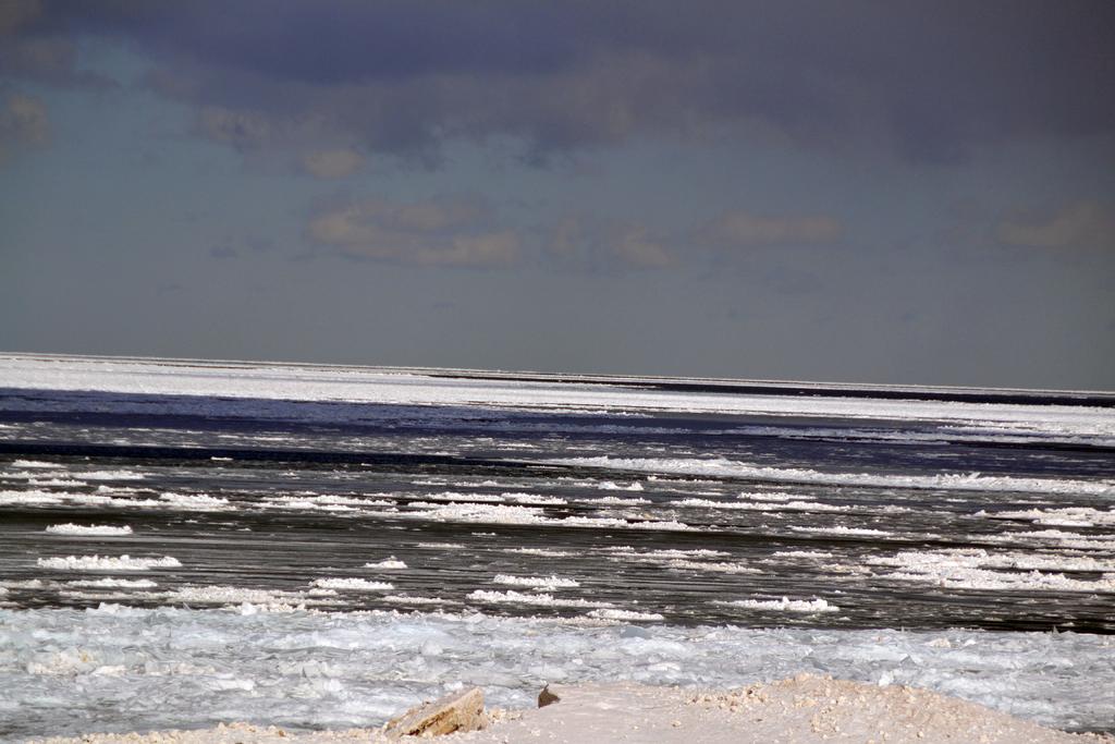 DSC_2366.jpg