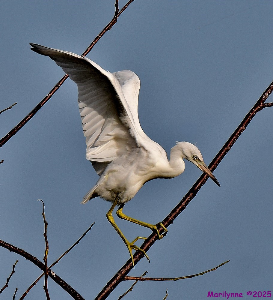 DSC_2368_001.JPG