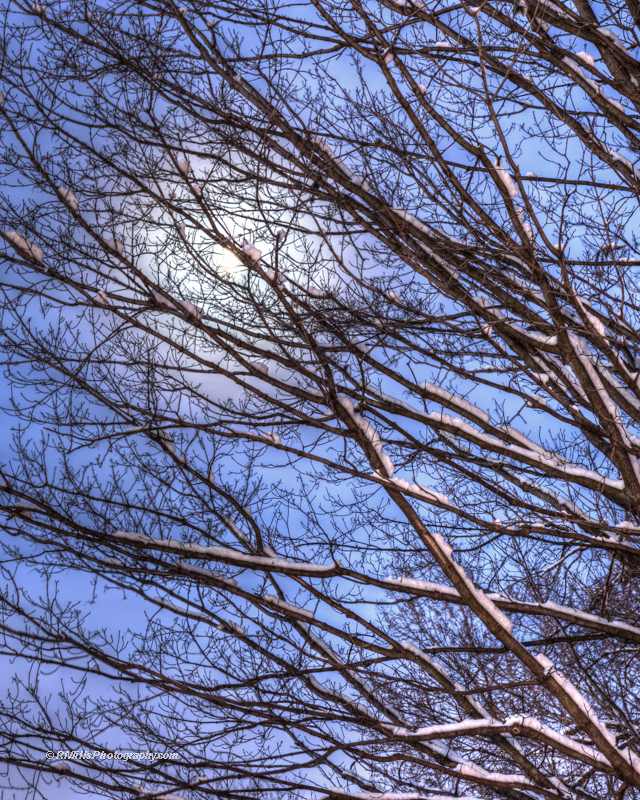 DSC_2372_5425_3_5426_4_5427_tonemapped.jpg