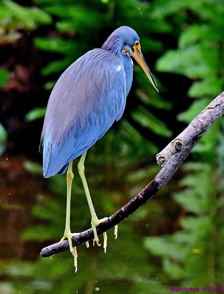 DSC_2374_001.JPG