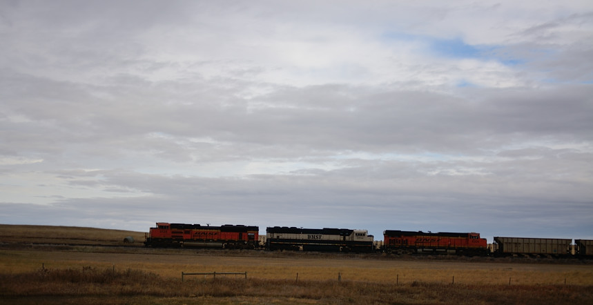 DSC_2375.JPG
